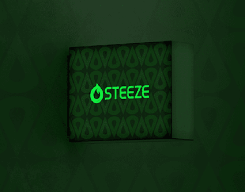Cover image for STEEZE Brand Identity