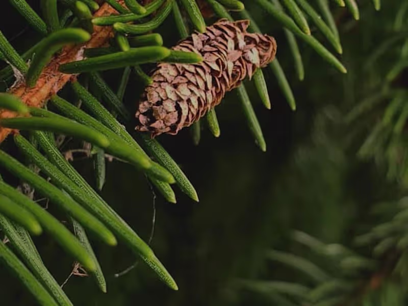 Cover image for Background music for videos