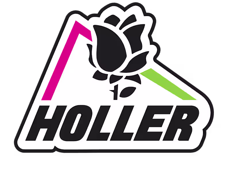 Cover image for HOLLER - Branding system