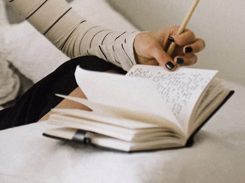 Cover image for All Writing Samples