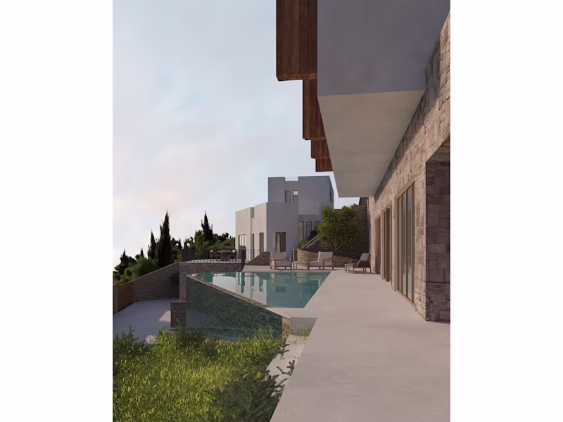 Cover image for Looking from the central house’s