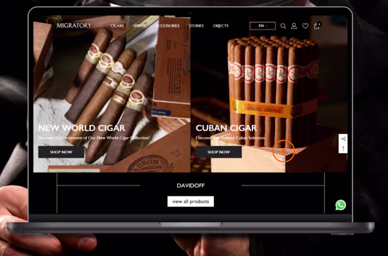 Cover image for 🚬 New Project: Migratory Story Excited to kick off a new Sh...