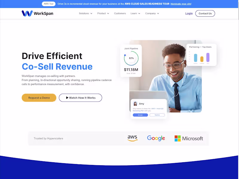 Cover image for Workspan