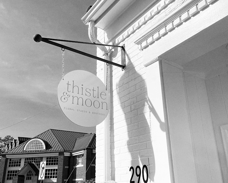 Cover image for Thistle and Moon