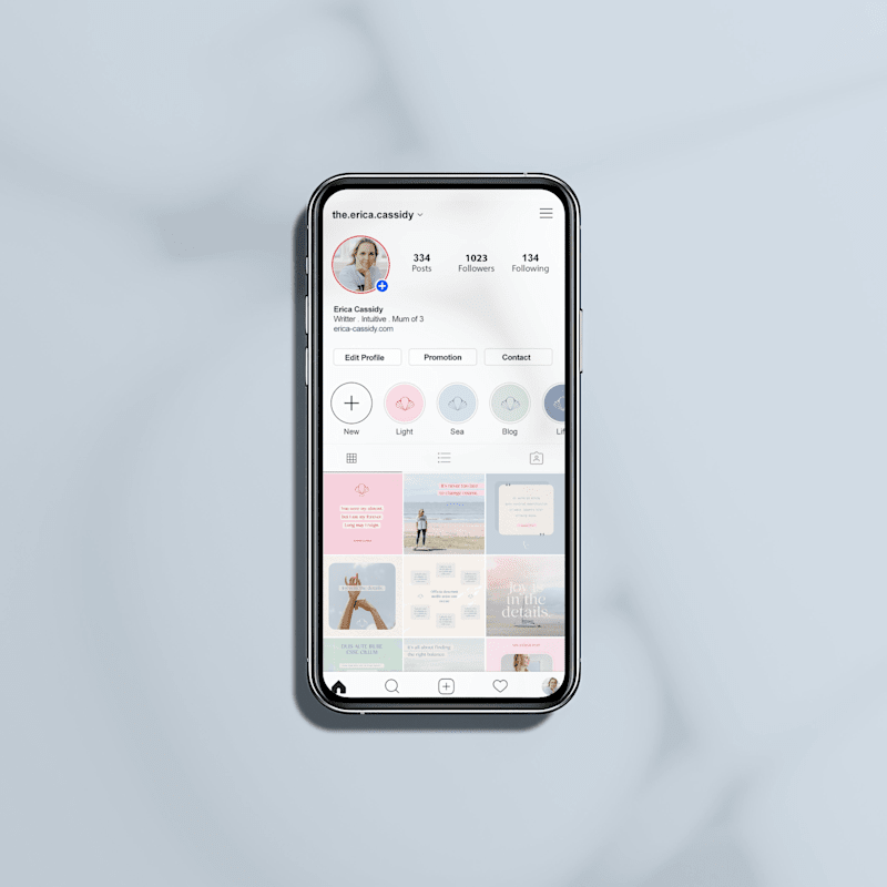 Cover image for Erica Cassidy - Brand Identity Design + Social Templates
