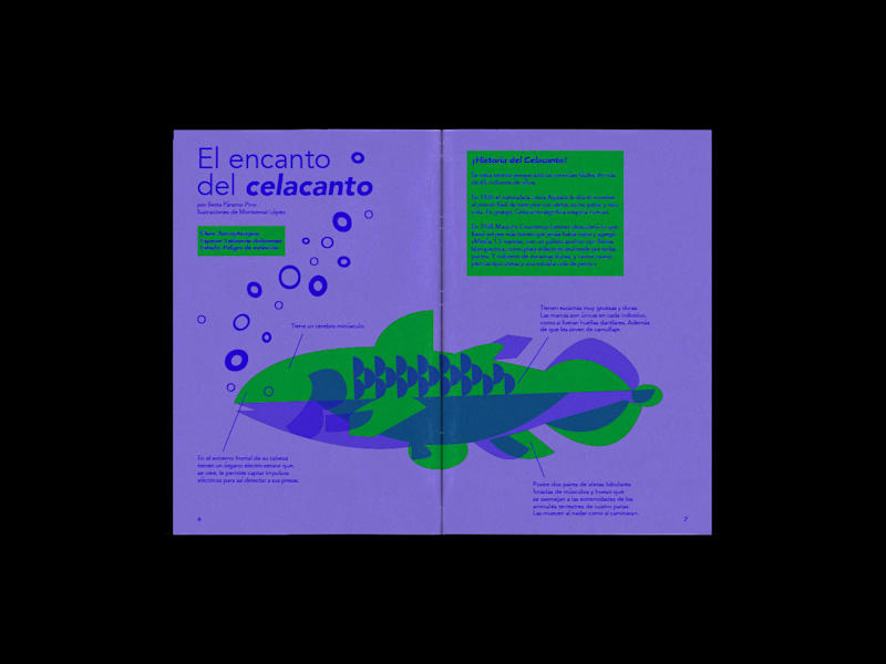 Cover image for ¡De aquí para allá!