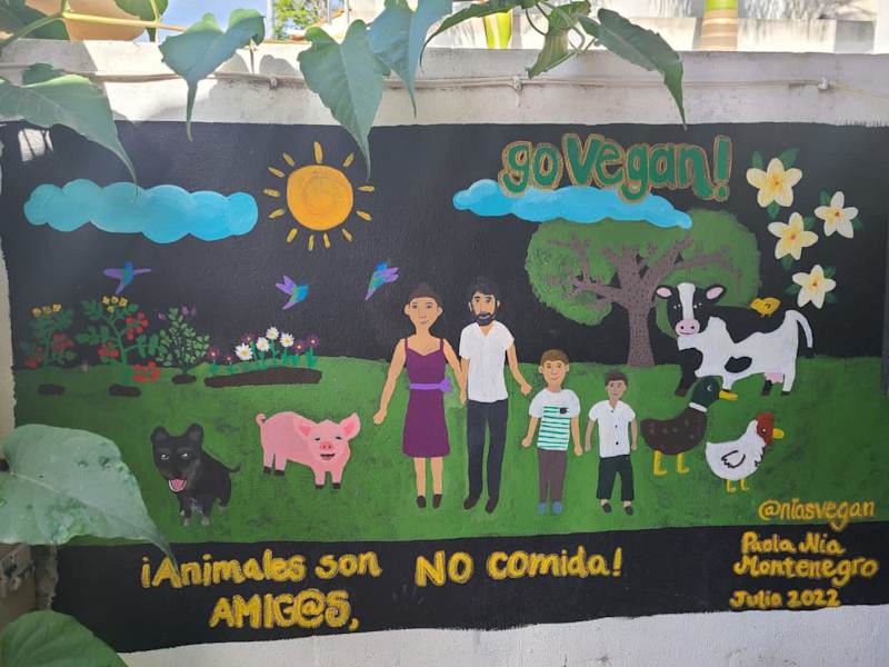 Cover image for Vegan art mural at restaurant in Puerto Morelos, México