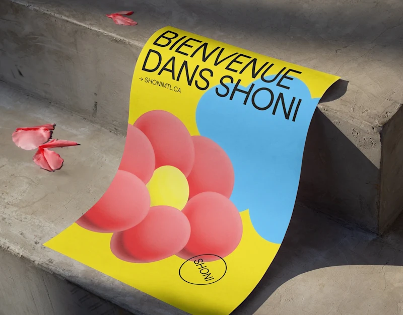 Cover image for SHONI