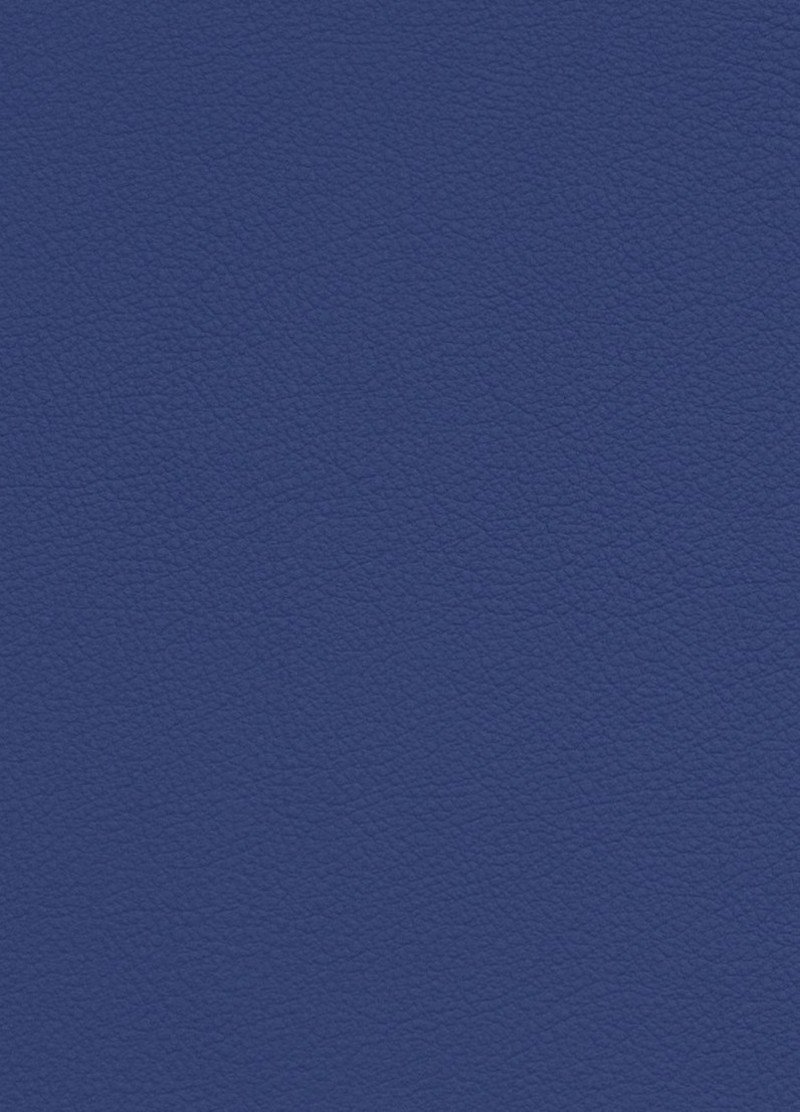 Cover image for The World: Global Reach Point