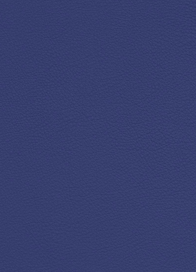 Cover image for The World: Global Reach Point