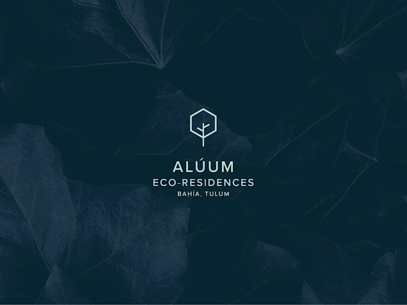 Cover image for Aluum Eco-Residencies