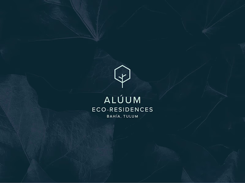 Cover image for Aluum Eco-Residencies