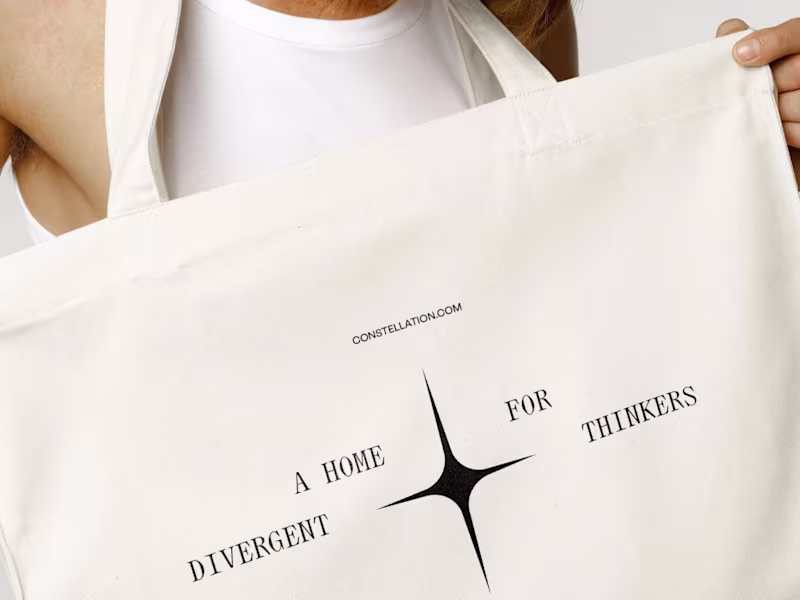 Cover image for Constellation