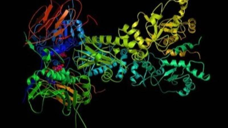 Cover image for AlphaFold 2: Revolutionizing Protein Folding Prediction