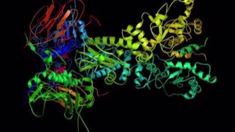 Cover image for AlphaFold 2: Revolutionizing Protein Folding Prediction