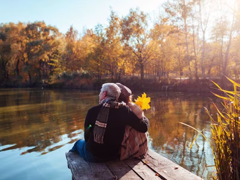 Cover image for Journey to the Heart of Mindfulness