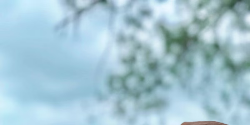 Cover image for Day Zero: Cape Town's Water Crisis and Political Dynamics