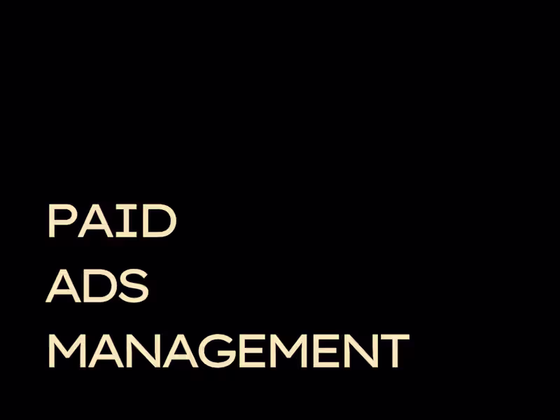 Cover image for PAID ADS MANAGEMENT 