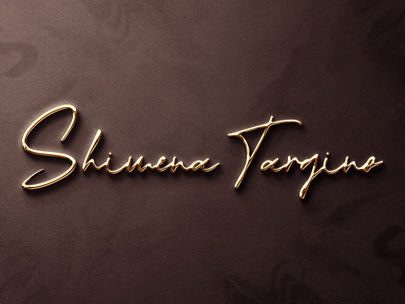 Cover image for Shimena Targino