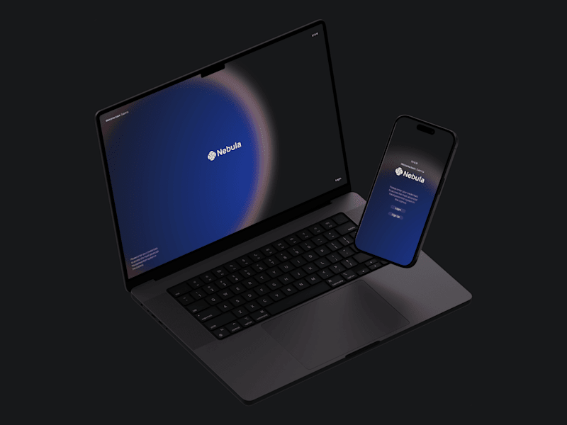 Cover image for Nebula: Next-generation SaaS dashboard for fraud prevention. 