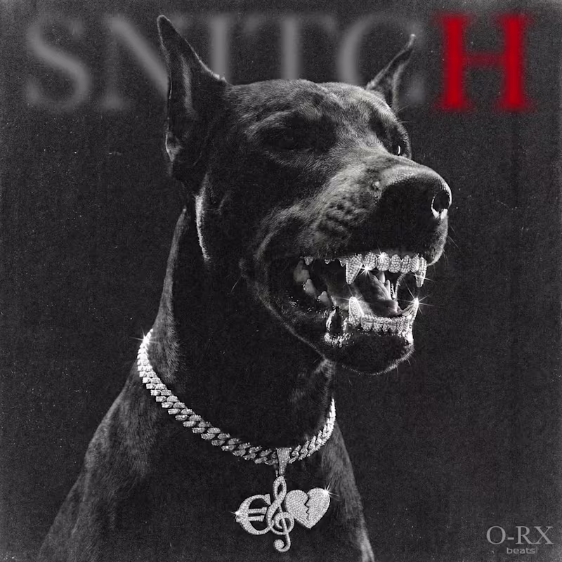 Cover image for Rap cover art