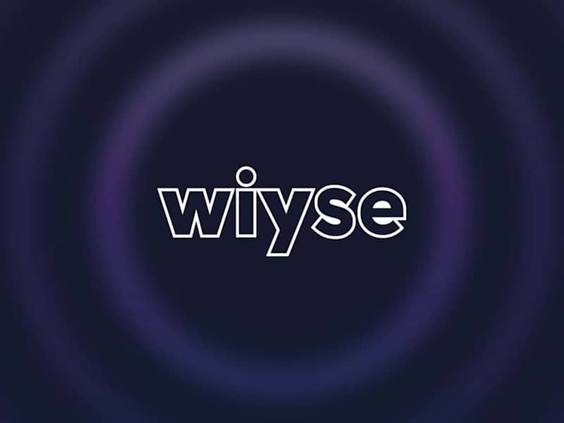 Cover image for Wiyse: Launch campaign for AI Service (2024)