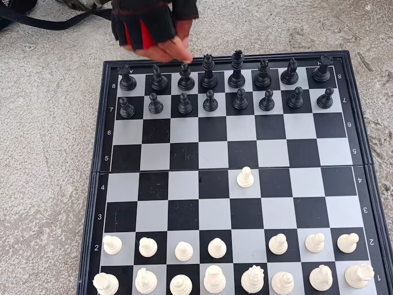 Cover image for A guide to adulting: University edition