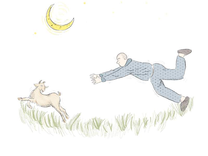 Cover image for Picture book illustration 