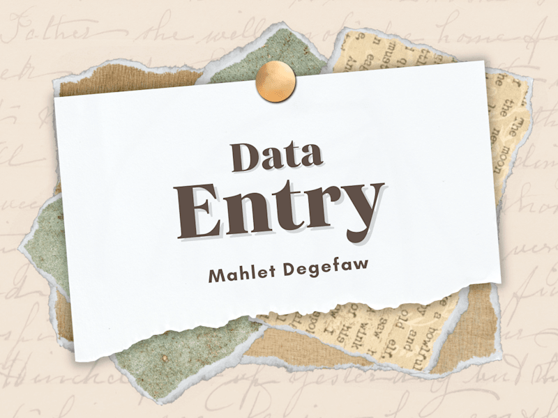 Cover image for data entry