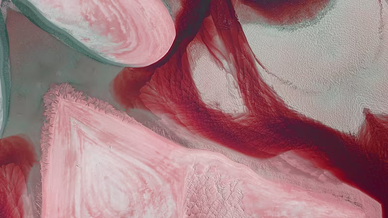 Cover image for Brand Voice & Foundational Writing