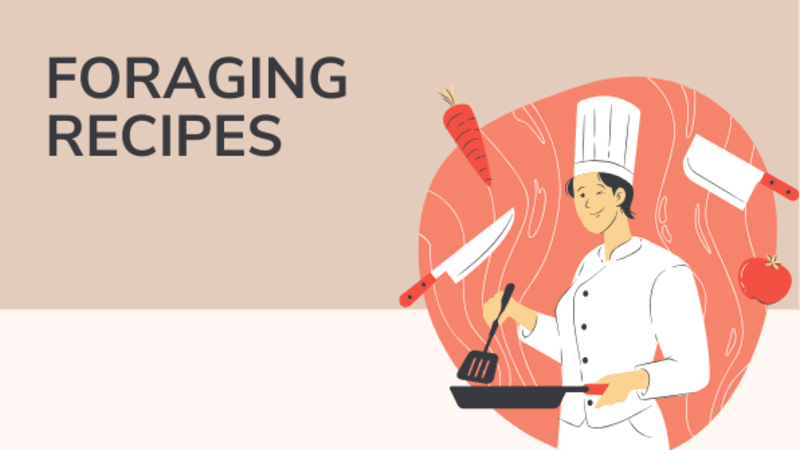Cover image for Foraging recipes
