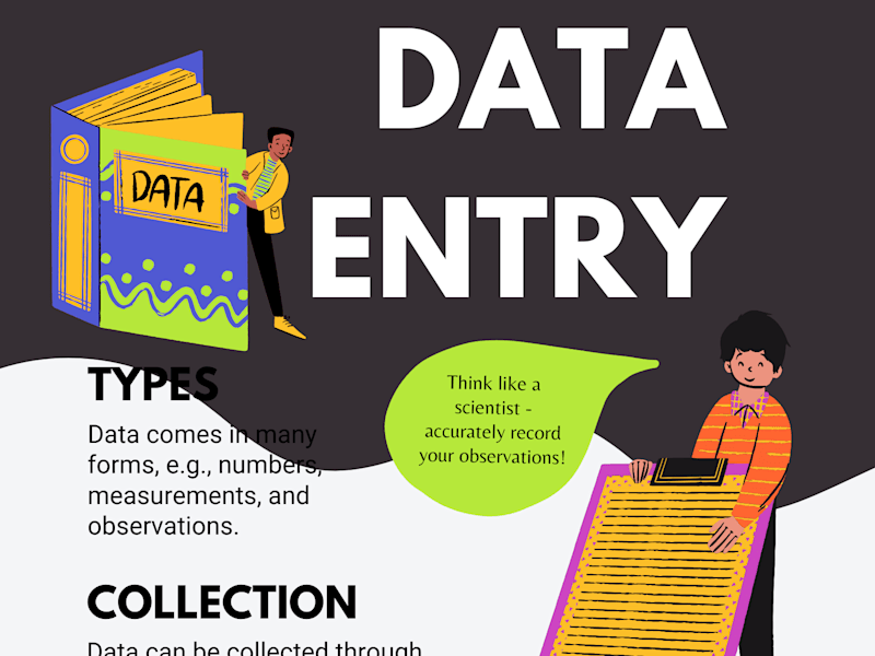 Cover image for Data Entry