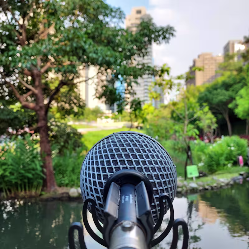 Cover image for Sound Design