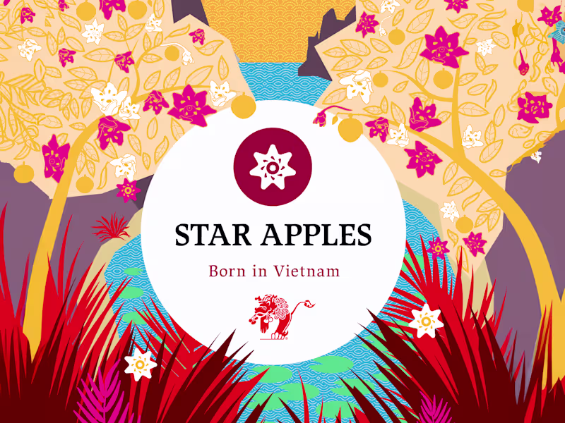 Cover image for Graphic Design by a Brand Chameleon