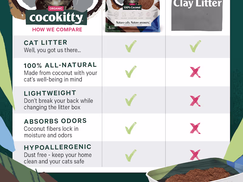 Cover image for Moved Woocommerce website to Shopify 