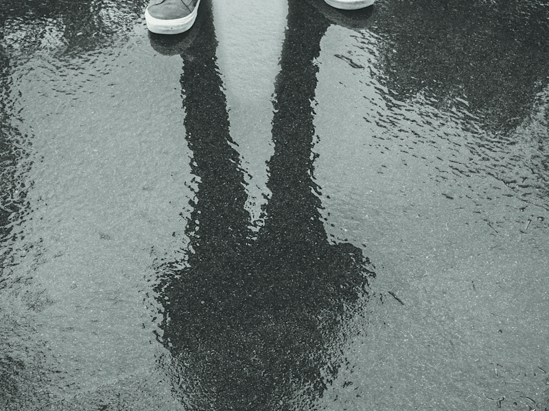 Cover image for Erasures: Six Shots to Silence