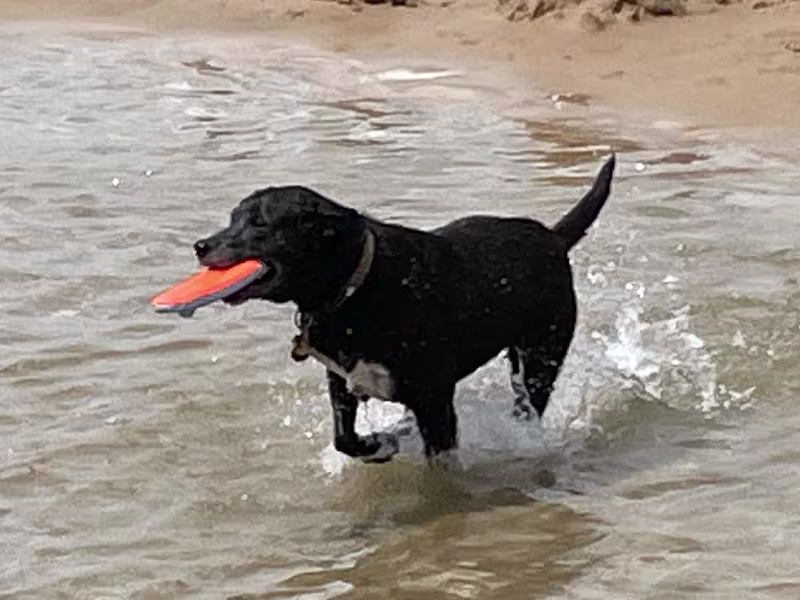 Cover image for Craft Blog Pieces and Newsletters