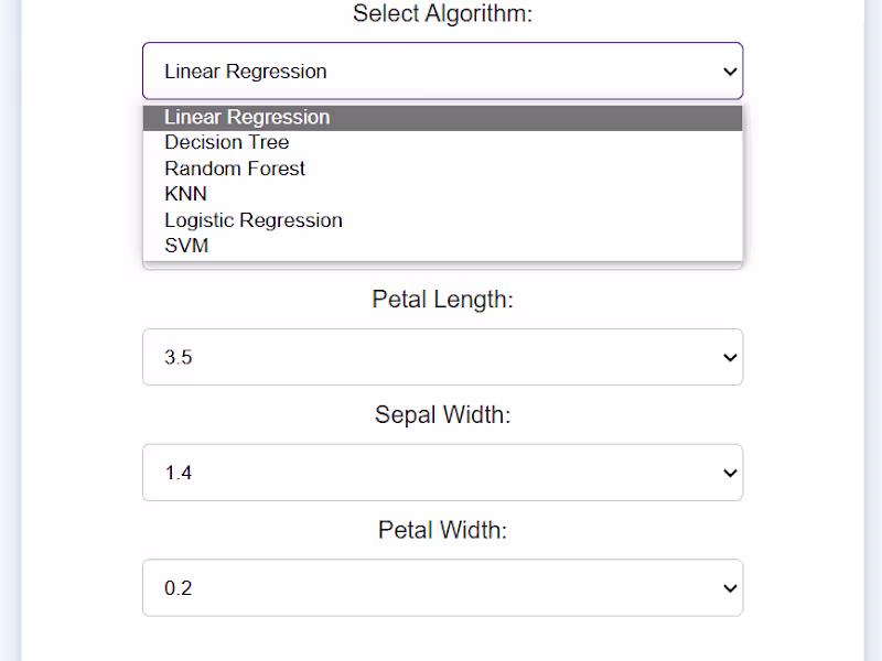 Cover image for Custom AI Project Development