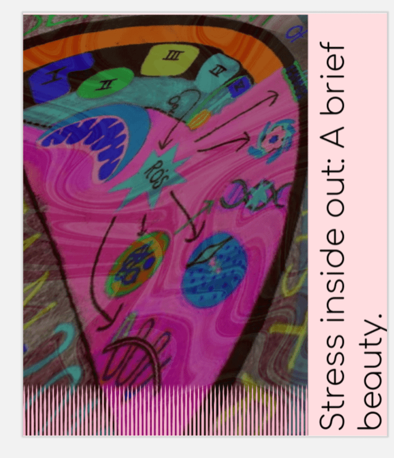 Cover image for STRESS INSIDE OUT: A BRIEF BEAUTY.