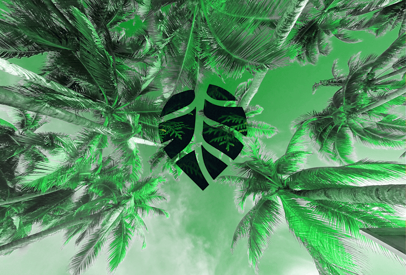 Cover image for SENSPOT- Branding 