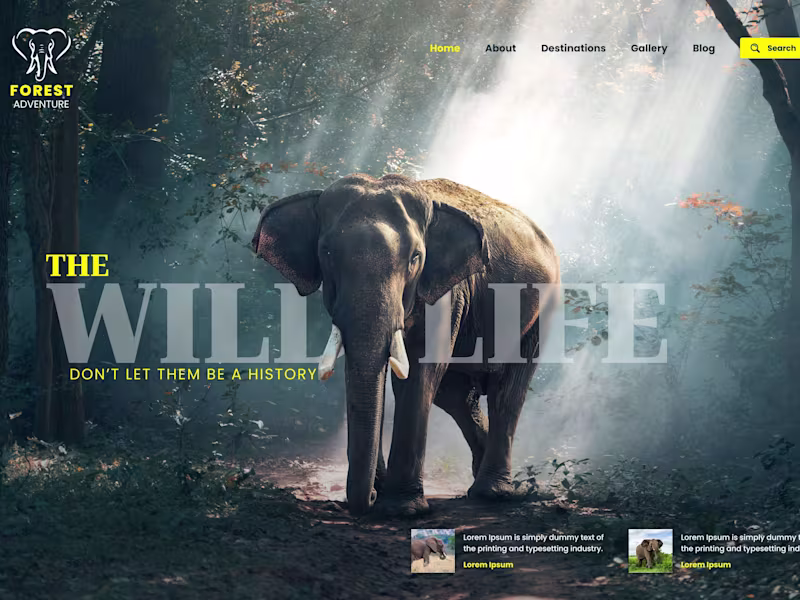 Cover image for figma website design, website mockup, wordpress landing page