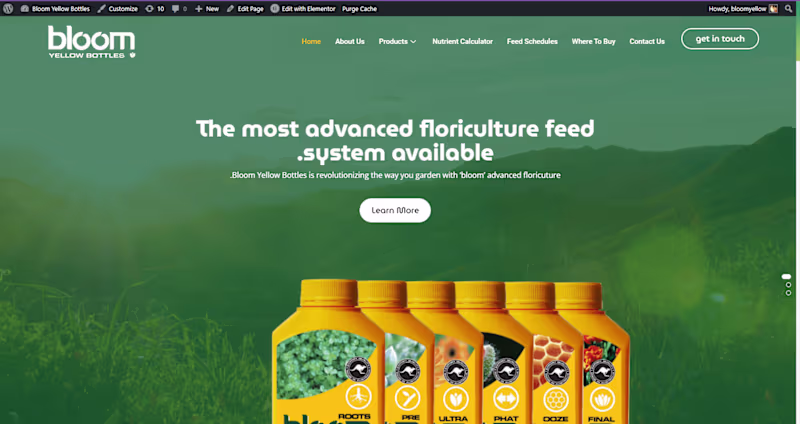 Cover image for Website Development of Bloom Yellow Bottles