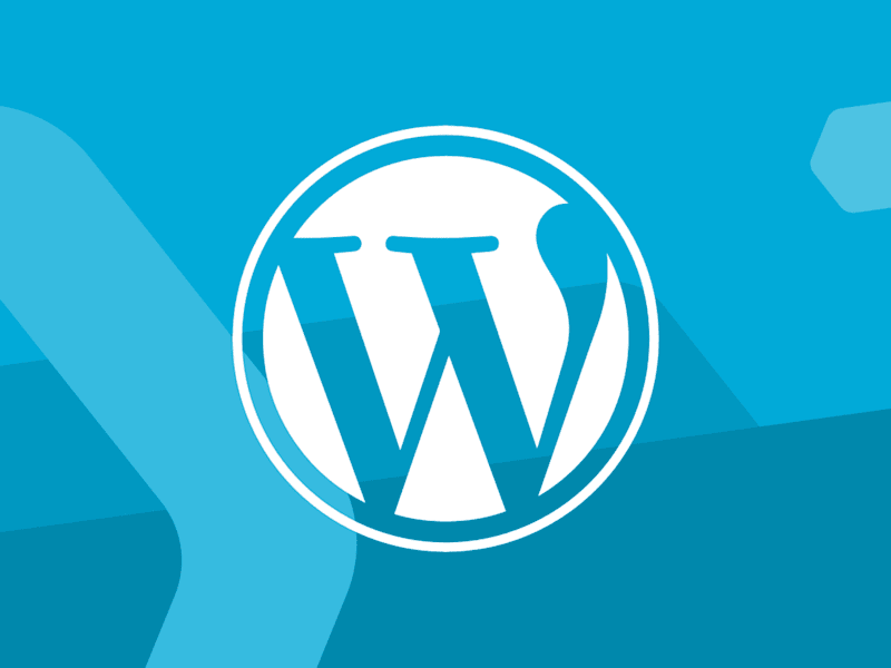 Cover image for Wordpress Developer