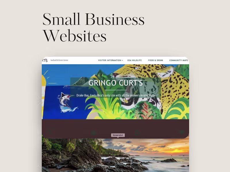 Cover image for End-to-End Marketing for Costa Rica Tourism