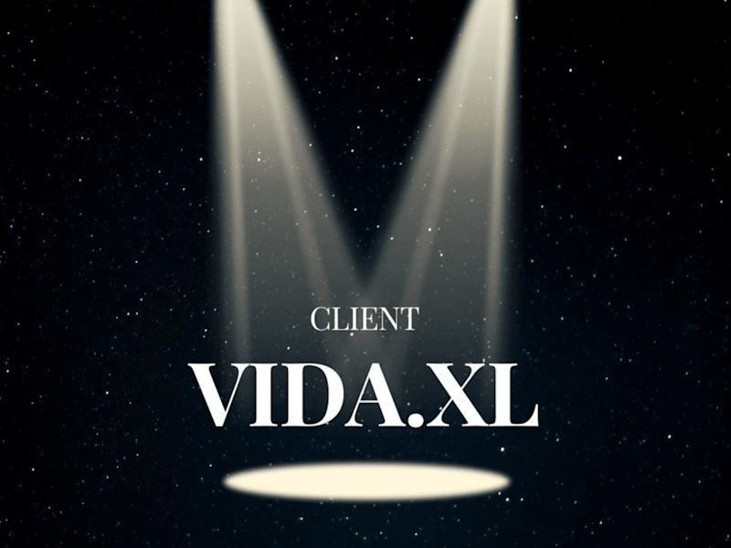 Cover image for Comprehensive Digital Marketing/Translation for vidaXL