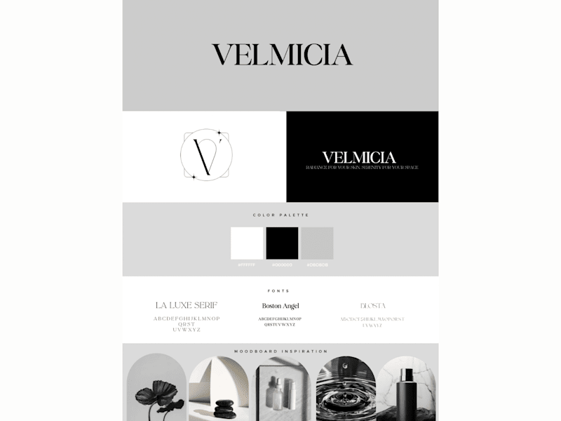 Cover image for Brand Identity Design for Velmicia