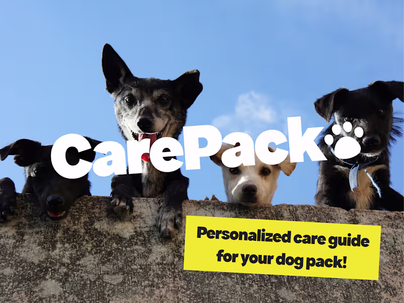 Cover image for CarePack: Doggy Care Guide Development