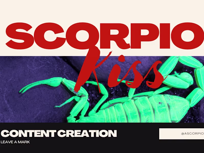 Cover image for Website Design for Scorpion Kiss
