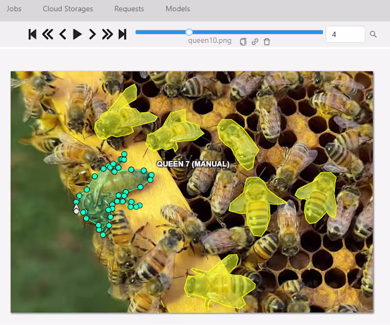 Cover image for "I performed pixel-perfect polygon segmentation on insect im...