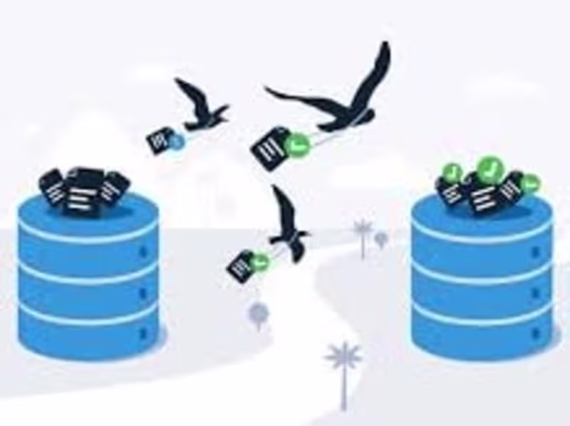 Cover image for Data migration
